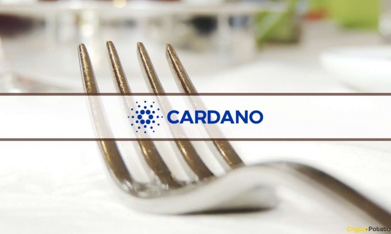 Объяснение хард-форка Cardano Vasil: чего ожидать от крупного обновления?